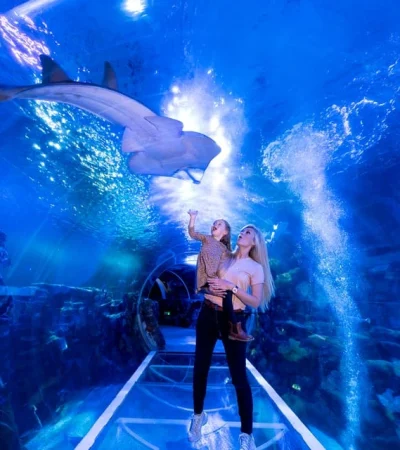 National Sea Life Centre Entrance Ticket